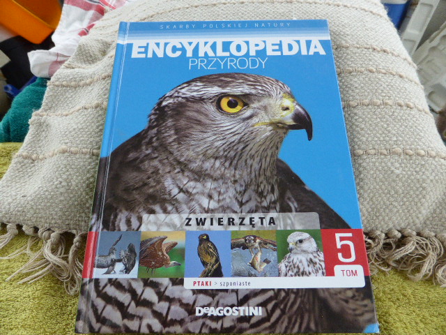 P1010343.JPG