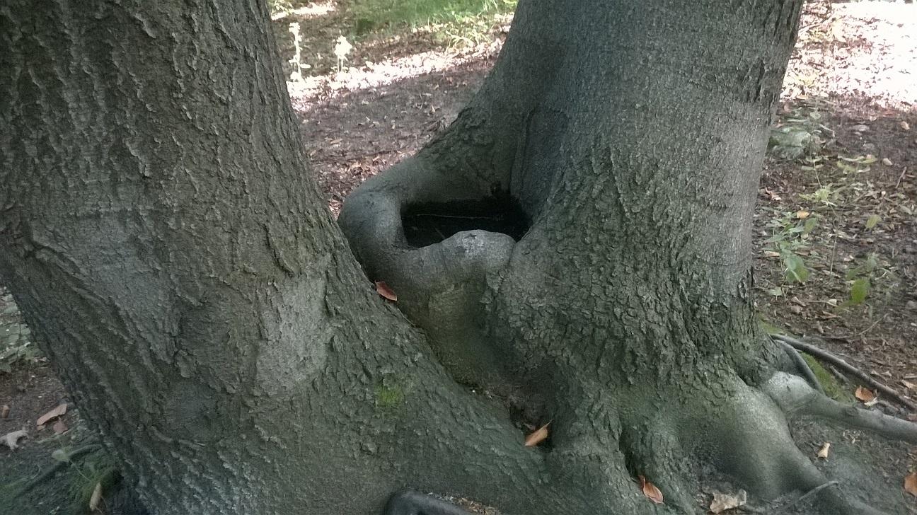 WP_20160830_005.jpg