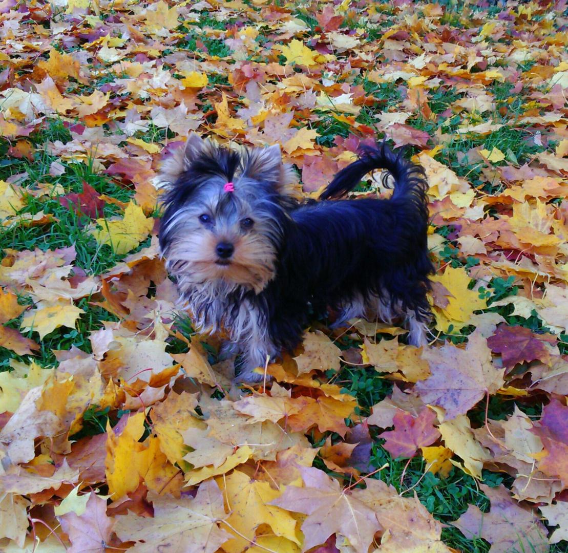 _20161028_155127.JPG