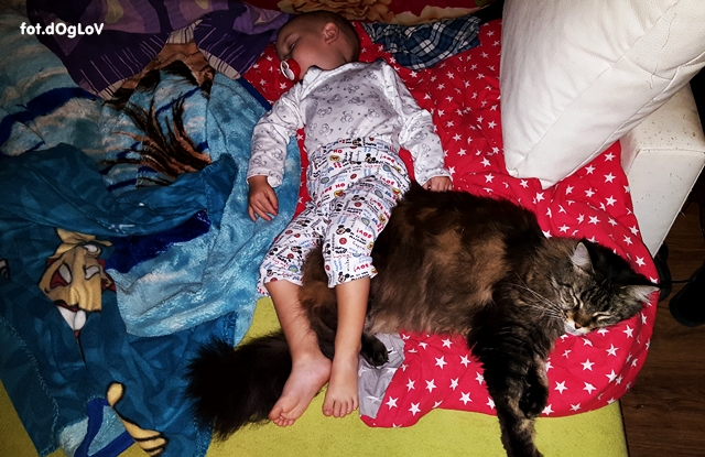 20161123_232716.jpg