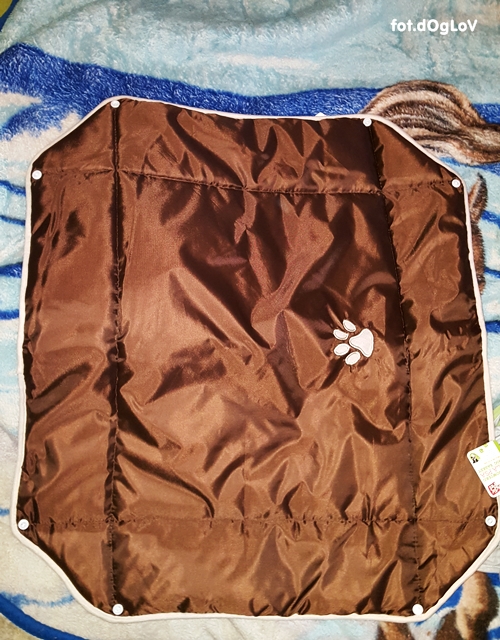 20161126_123309.jpg