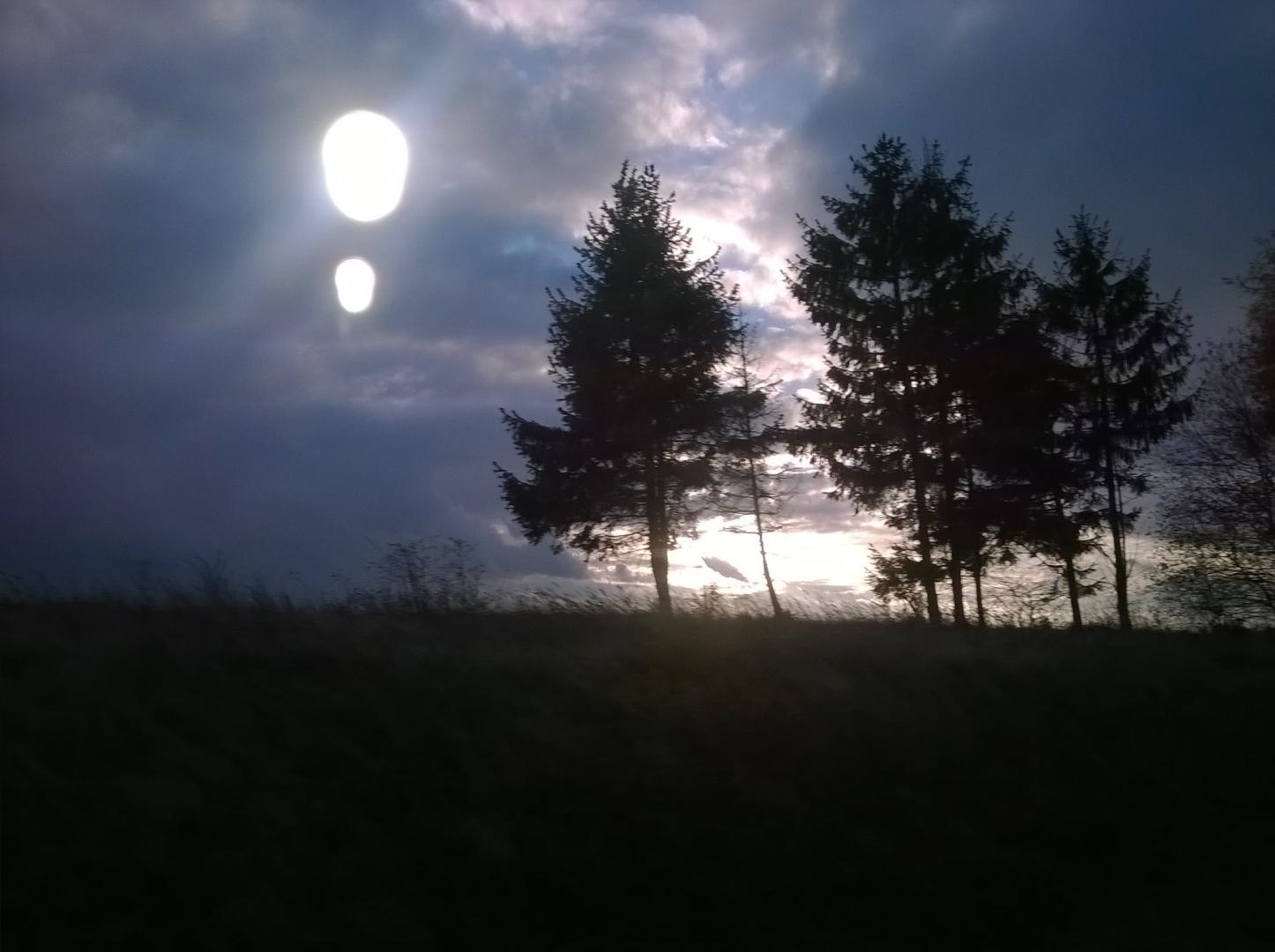 WP_20161103_15_23_16_Pro.jpg