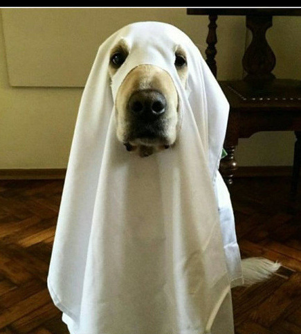 duch.jpg