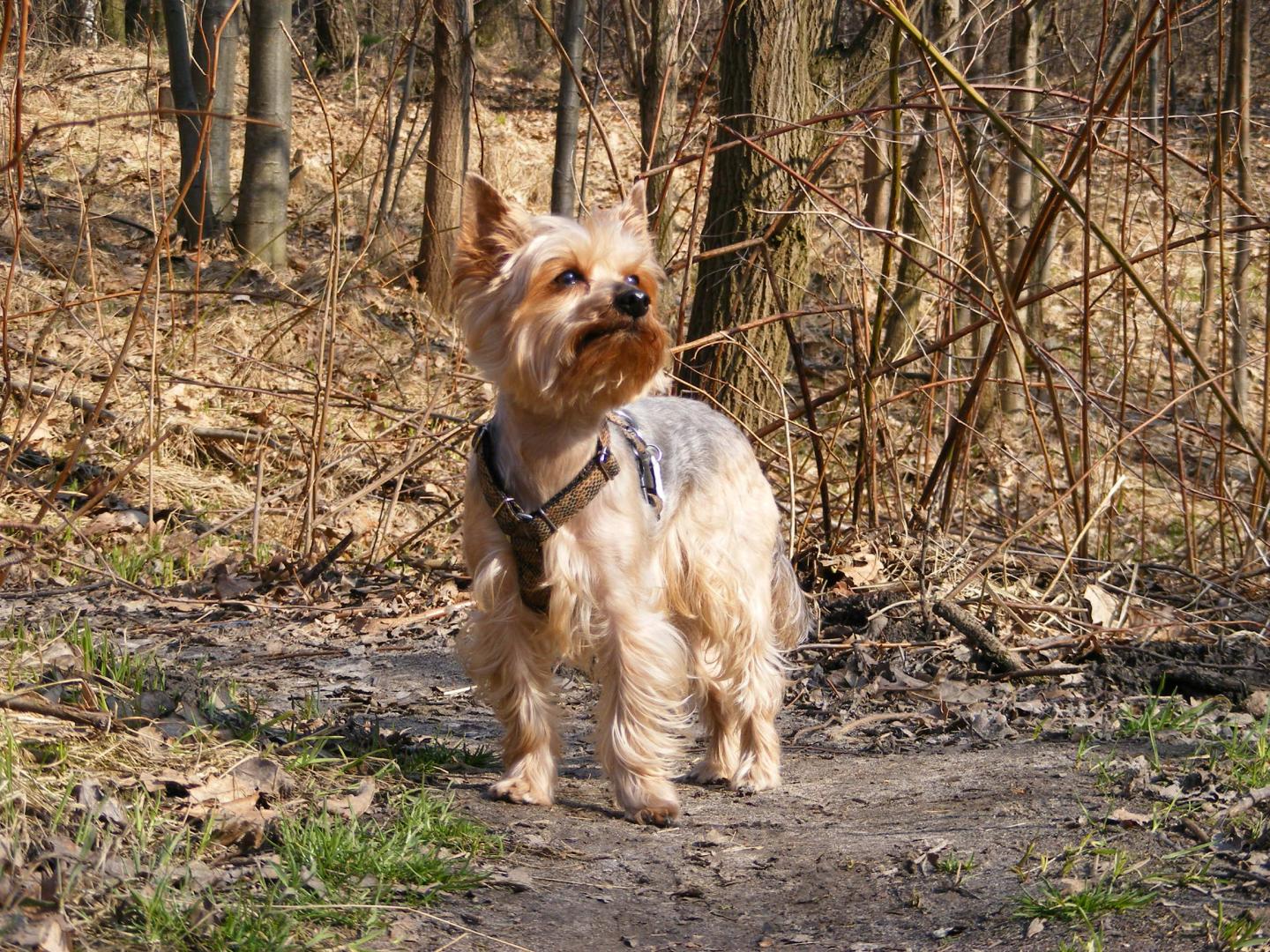 DSCF6204.JPG