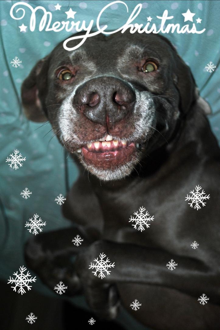 DSC_0010.JPG