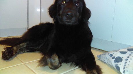 imag0733.jpg