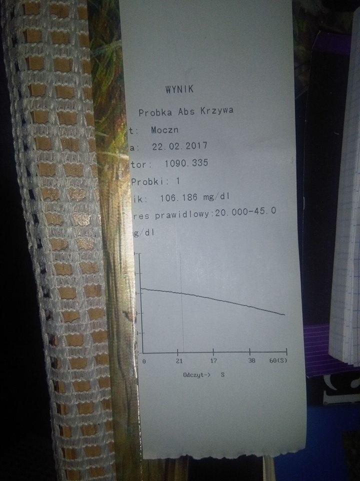 1111.jpg