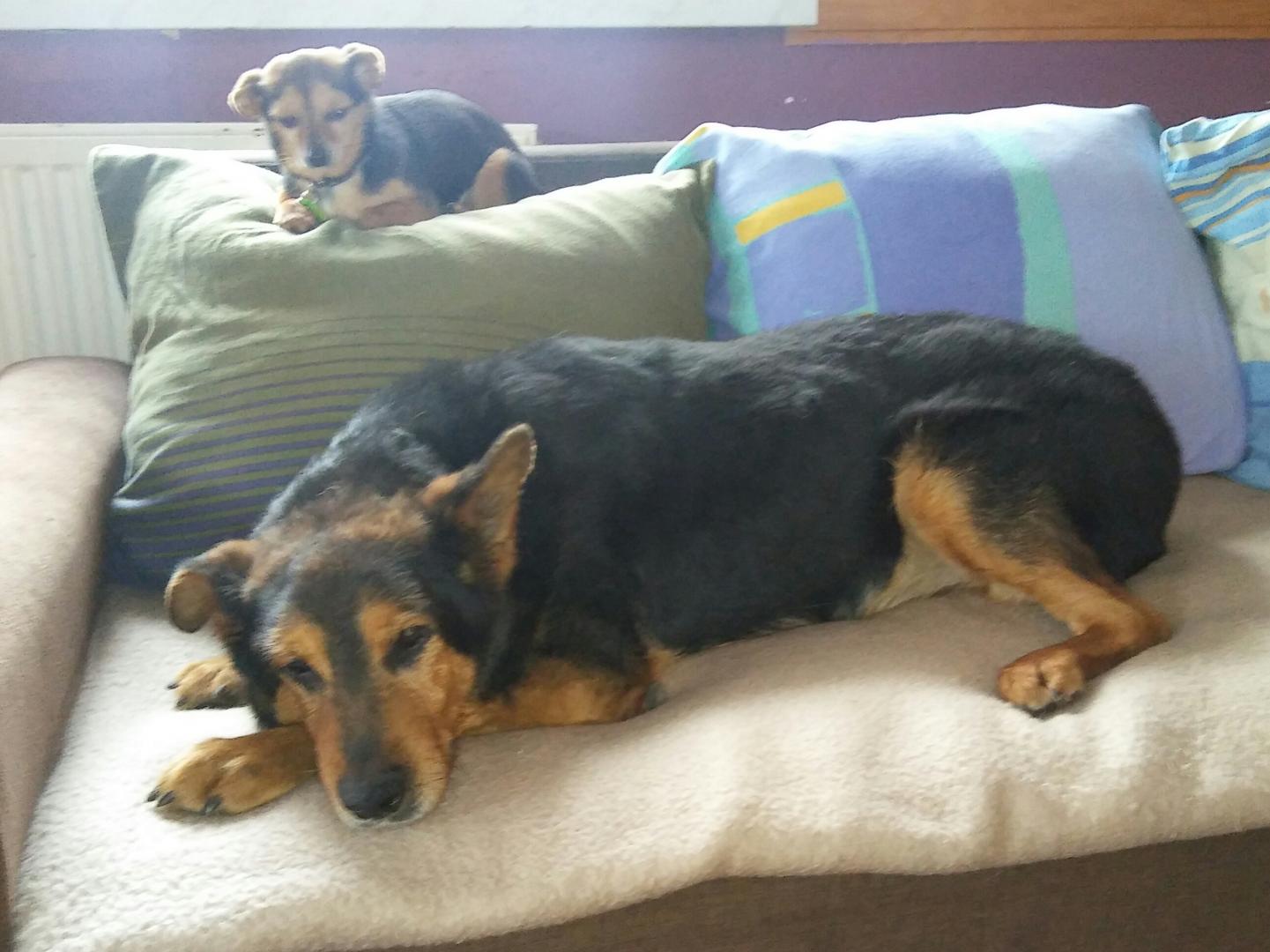 20170320_100309-1.jpg