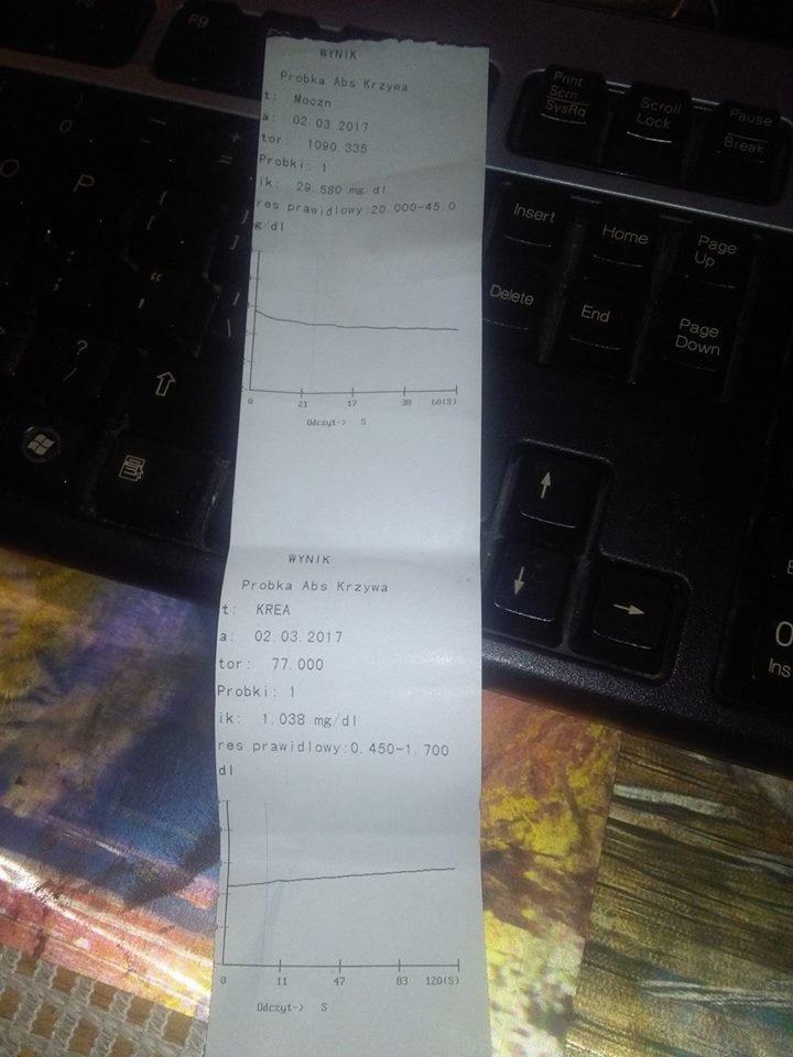 444.jpg