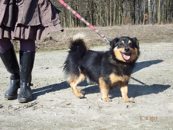 DSCF8480.JPG.a7505c916a1829d1f5eeda00bce322dc.JPG
