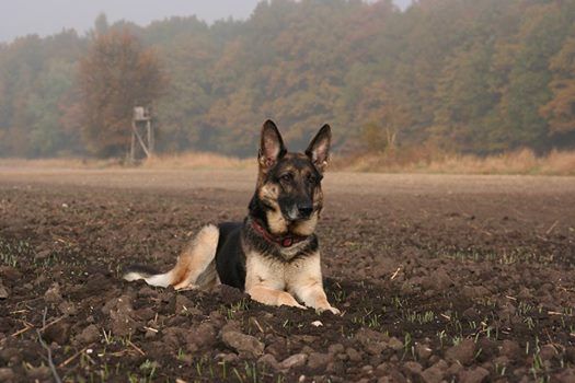 bojana2.jpg.d0a2d666a350abe476b0e99973054c8b.jpg