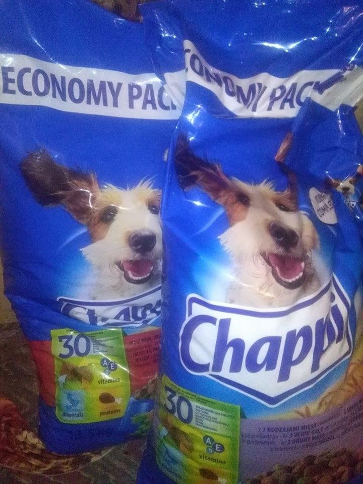 chappi.jpg