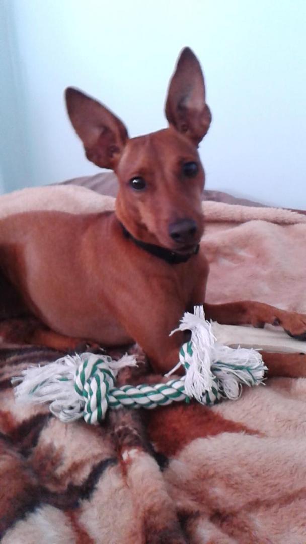 20150812_161856_8.jpg