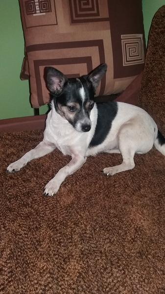 20170422_095642.jpg.ccba6eb5bb75edbae154dc797ce9733c.jpg