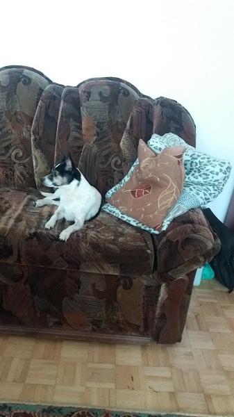 20170423_104356.jpg.8f8dddb7c941931d18998c7cd0bd28b9.jpg