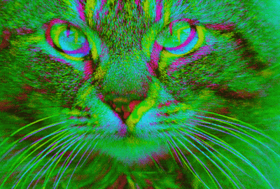 400.gif.5072edca2b5c30f3f510e5089e5dfae9.gif