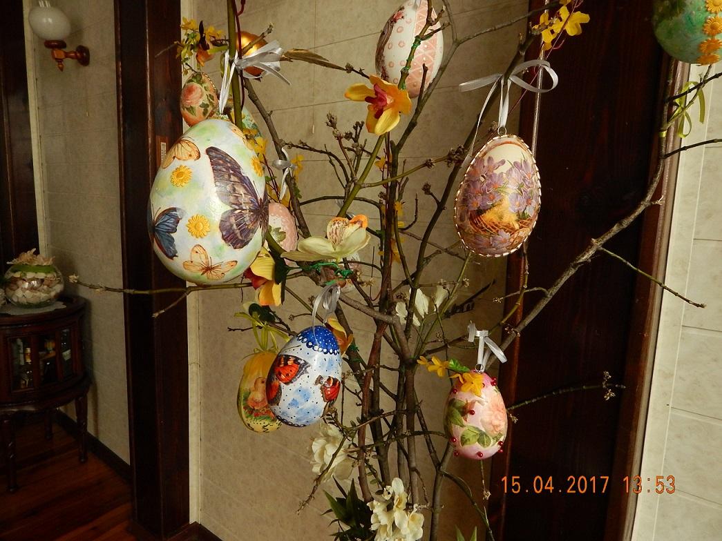 DSCN2583.JPG