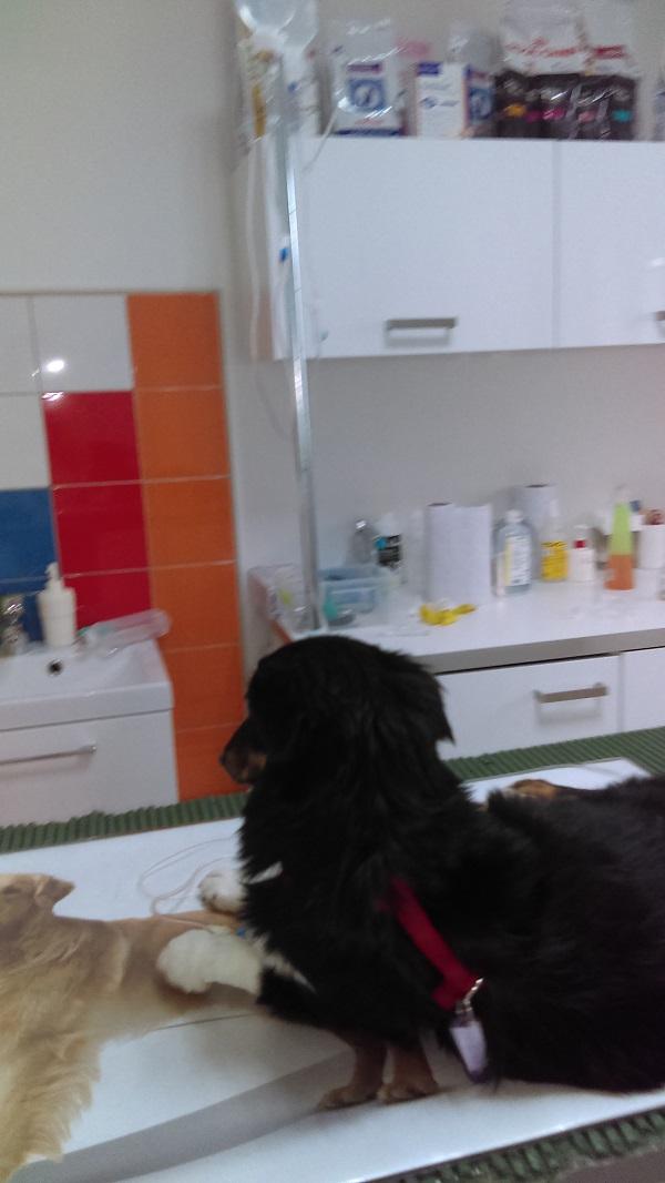 imag1240.thumb.jpg.610f504dc37ec44c92005de33e923719.jpg