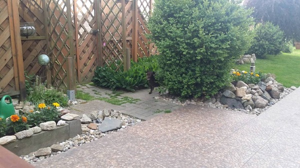 20170529_171822.jpeg.7ca629e9543d0671c72e251004331291.jpeg