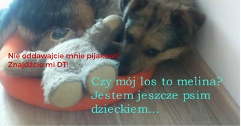 592afac1eb392_BeFunkyDesign.jpg.8175beaa8f6cada4108dadd184bb67e7.jpg