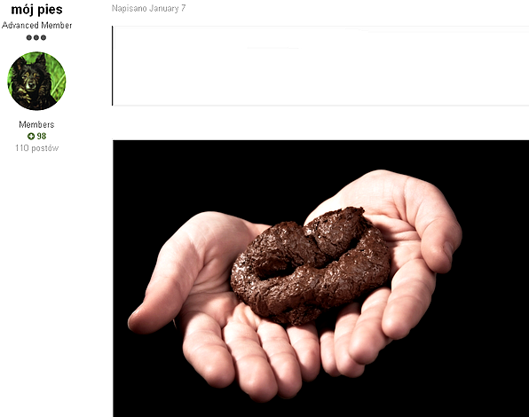 592d6d9c53a37_PrzygodykomarzycyHaliny-Strona47-OffTopic-Dogomania.png.887eb082ce7673bc6c7ffb1089815560.png