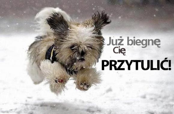 przytulanie2.jpg.58fddb9a3bd48d9f6ce91c84110f5754.jpg