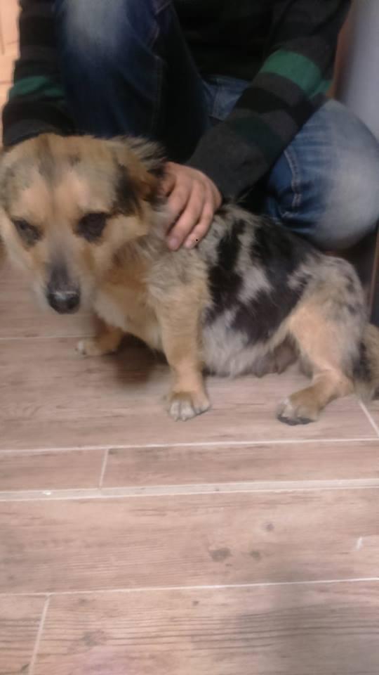 sunia2.thumb.jpg.8ef52e4eee2c58b09280886e05b647bf.jpg