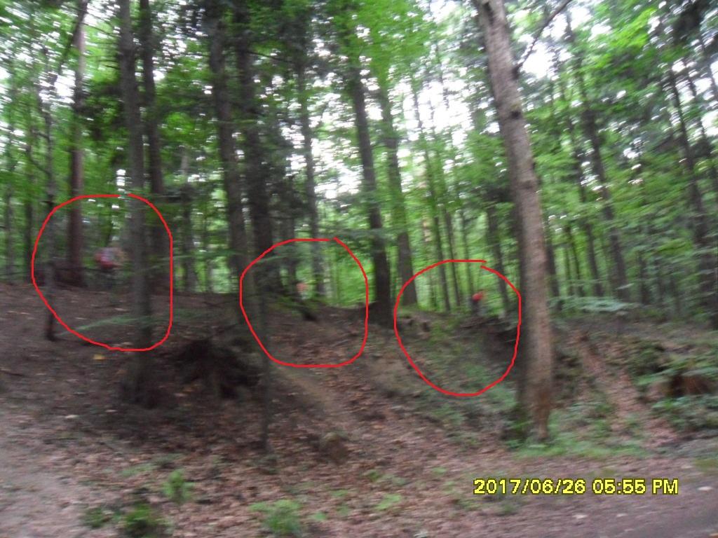 SAM_8292.thumb.JPG.87e0771b5195e93b7da7480a0cbf47a0.JPG