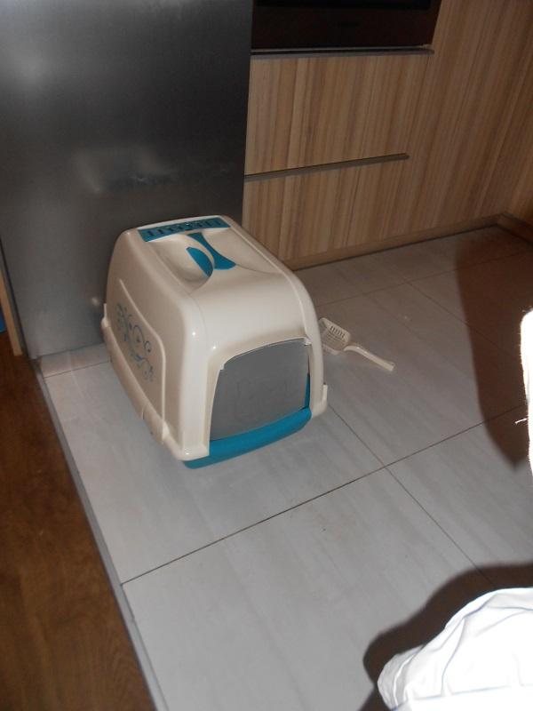 DSCN5636.JPG