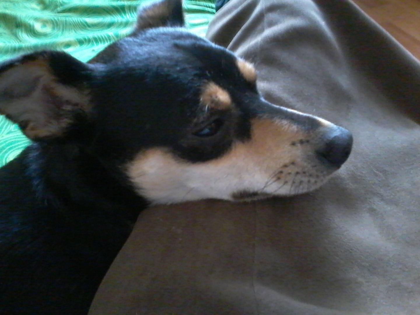 20170927_175311.jpg