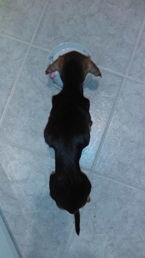imag3223.thumb.jpg.948cf4ab60237dddc98df3fa53729315.jpg