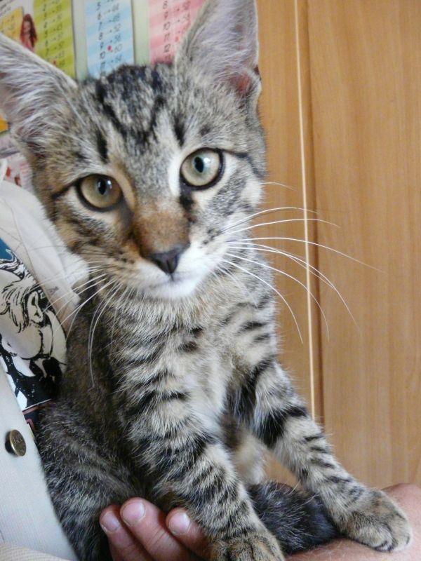 lucek3.JPG
