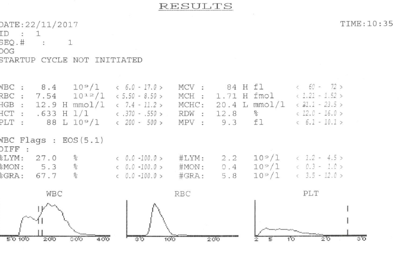 5a157eb51f2e1_Beniareszta.png.3626c6dcf77e0eb2eb859fc3b387005f.png