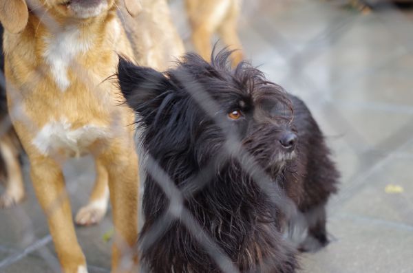 IMGP0287.jpg