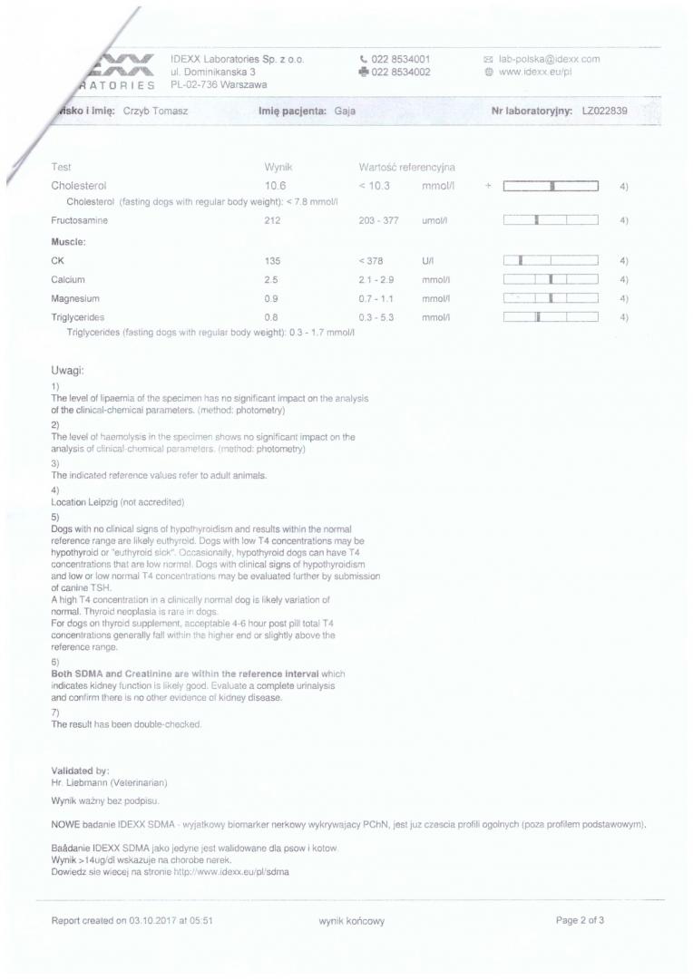 badania2-2.jpg