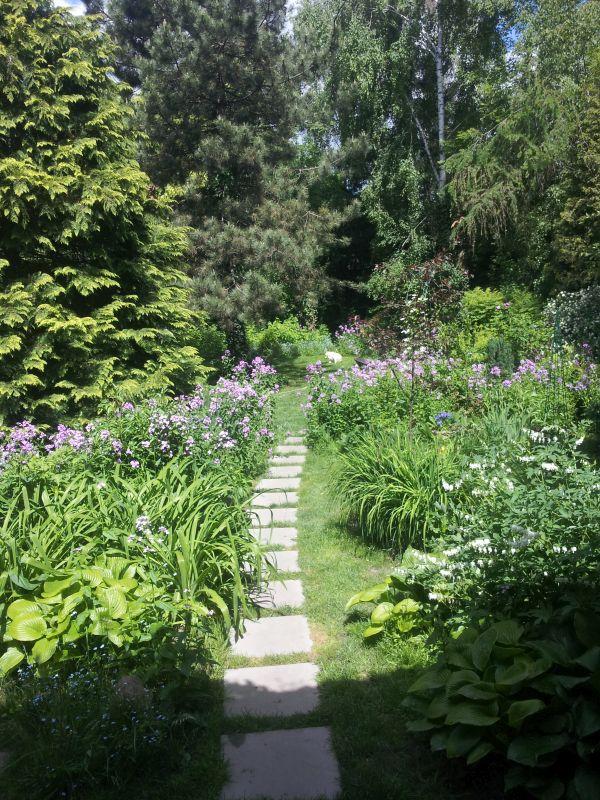 20170527_105959.jpg