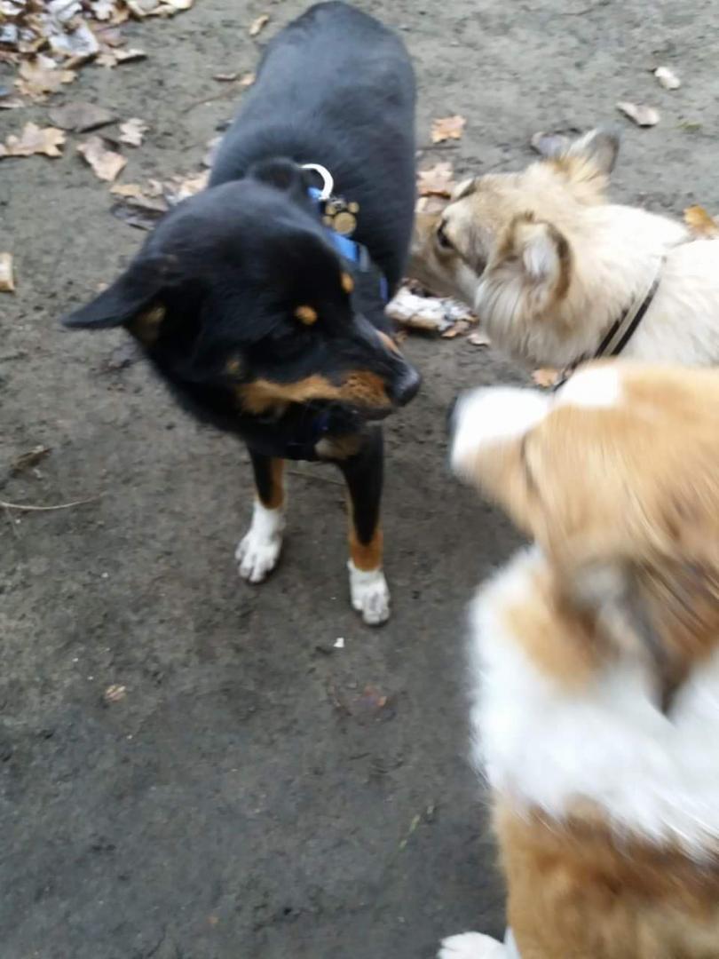 received_1794951907244456.thumb.jpeg.93dda79fff690d11ff4f90bb20457e58.jpeg