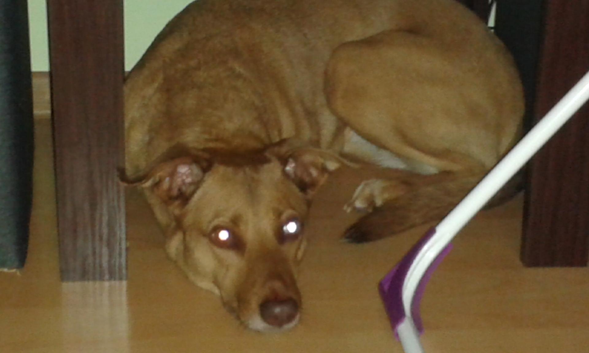 20151017_211528.jpg