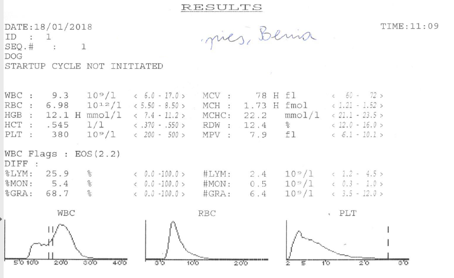 5a62649329e4e_Beniawynik.png.23690cb23de93e29c4d7731debe46c2a.png