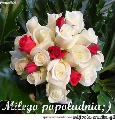 5a631ec06d4ba_namiepopoudnie.jpg.8d343accbbcb056ef166e47457bac65e.jpg