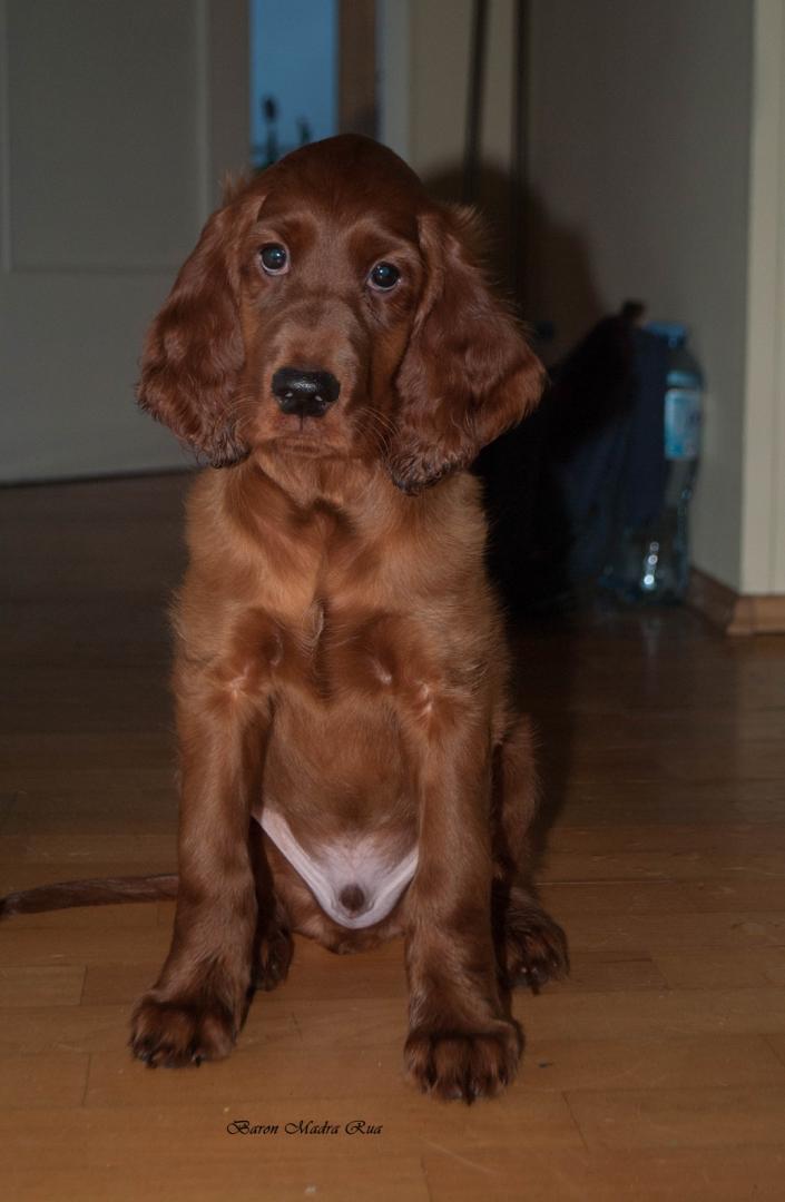 DSC_0061.jpg