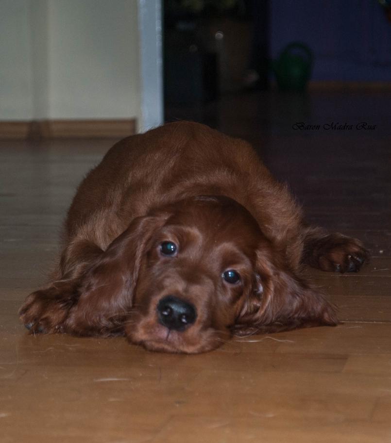 DSC_0066.jpg