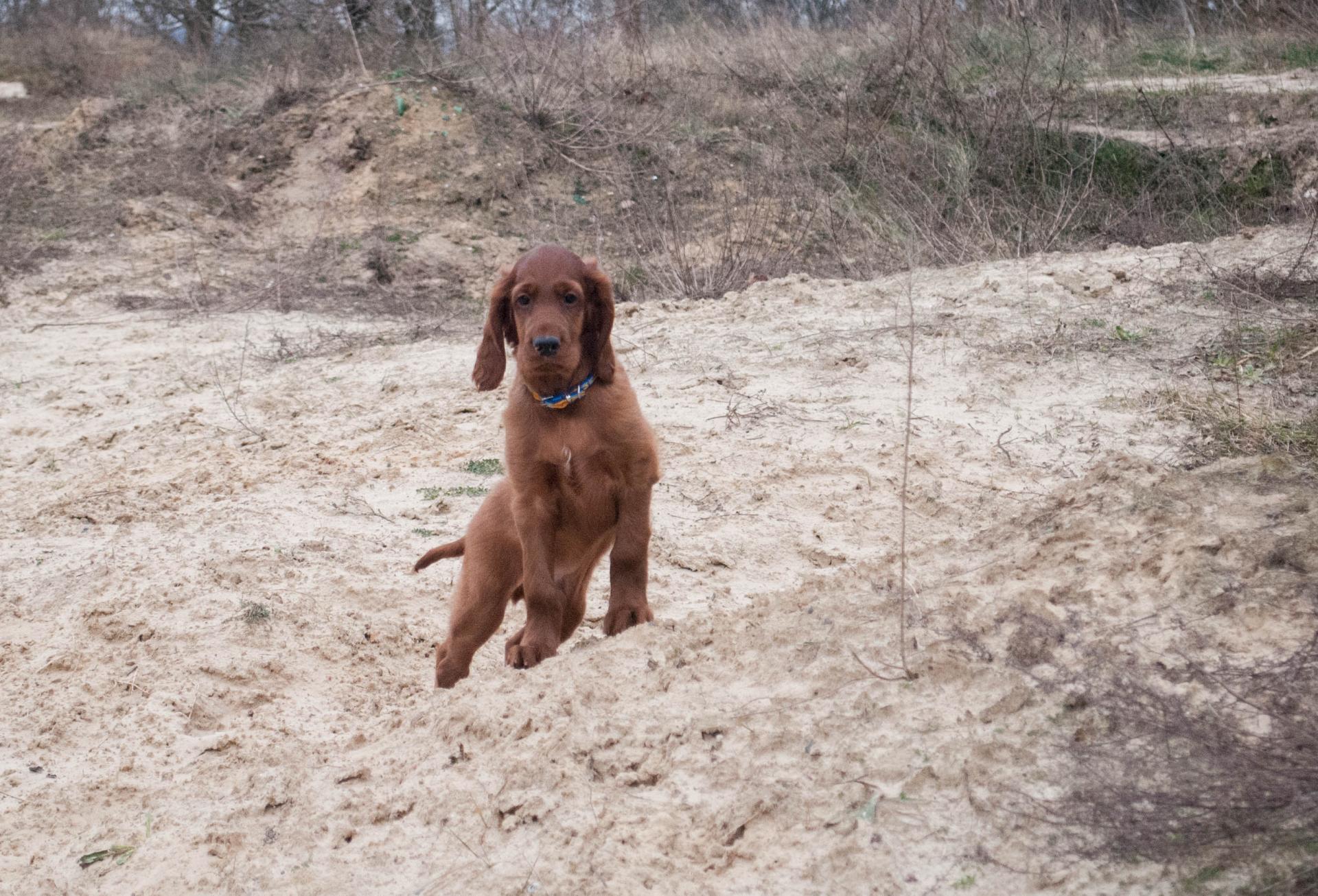 DSC_0076.jpg