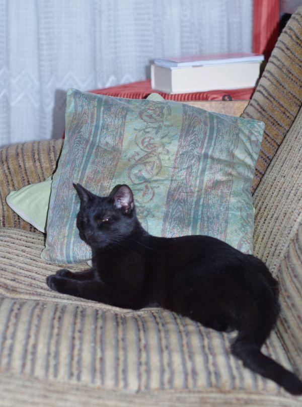 IMGP1182.JPG