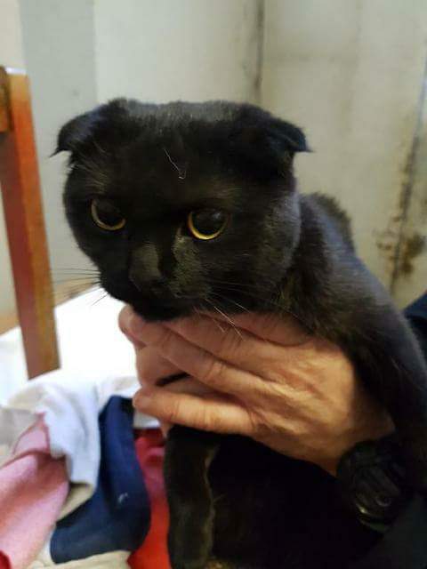 received_1809566192448121.jpeg.0b04bb795947ba030fdb80ee075f0207.jpeg