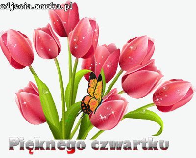 5aa100ab20b03_naczwartek3.jpg.21ae27302434608573efcf1277458fa8.jpg