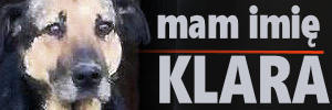 banerek.jpg.c5f58fa750c2d9ea11a8c2d00d04914c.jpg