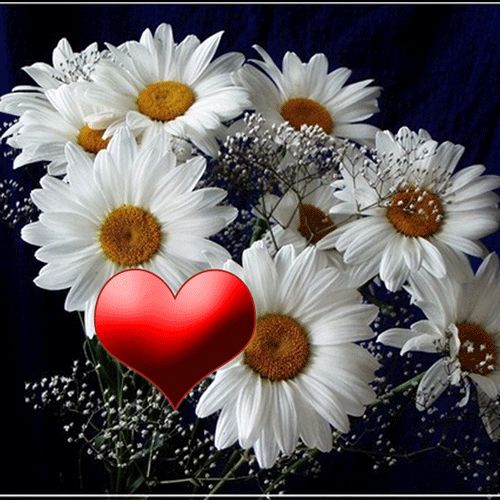 image.png.3d11e343f868aa10907da603955dbc4e.png