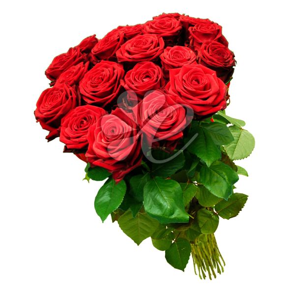 pu020-xl.jpg.e9b87a570ce4b1b2e50b5ff055af2165.jpg