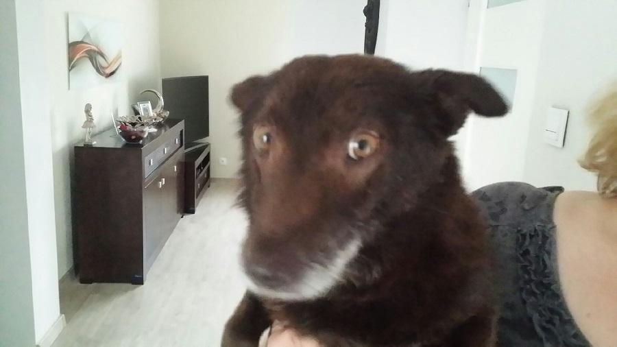 20170428_165828.jpeg.189762c1539a0d6c793e95c506a6527d.jpeg